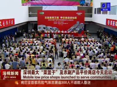 深視新聞 110929 深圳最大菜籃子及農(nóng)副產(chǎn)品平價商店今天啟動_深圳衛(wèi)視視頻_新浪播客